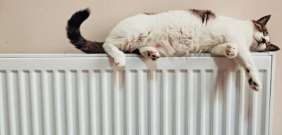 should you bleed your radiator when it is hot